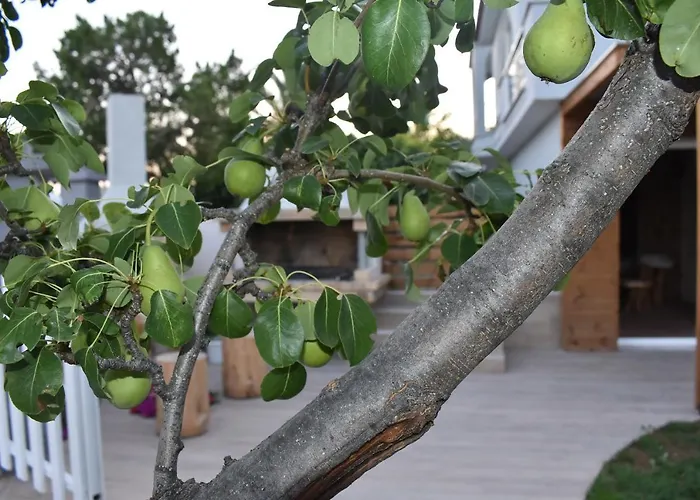 The Flintstones House